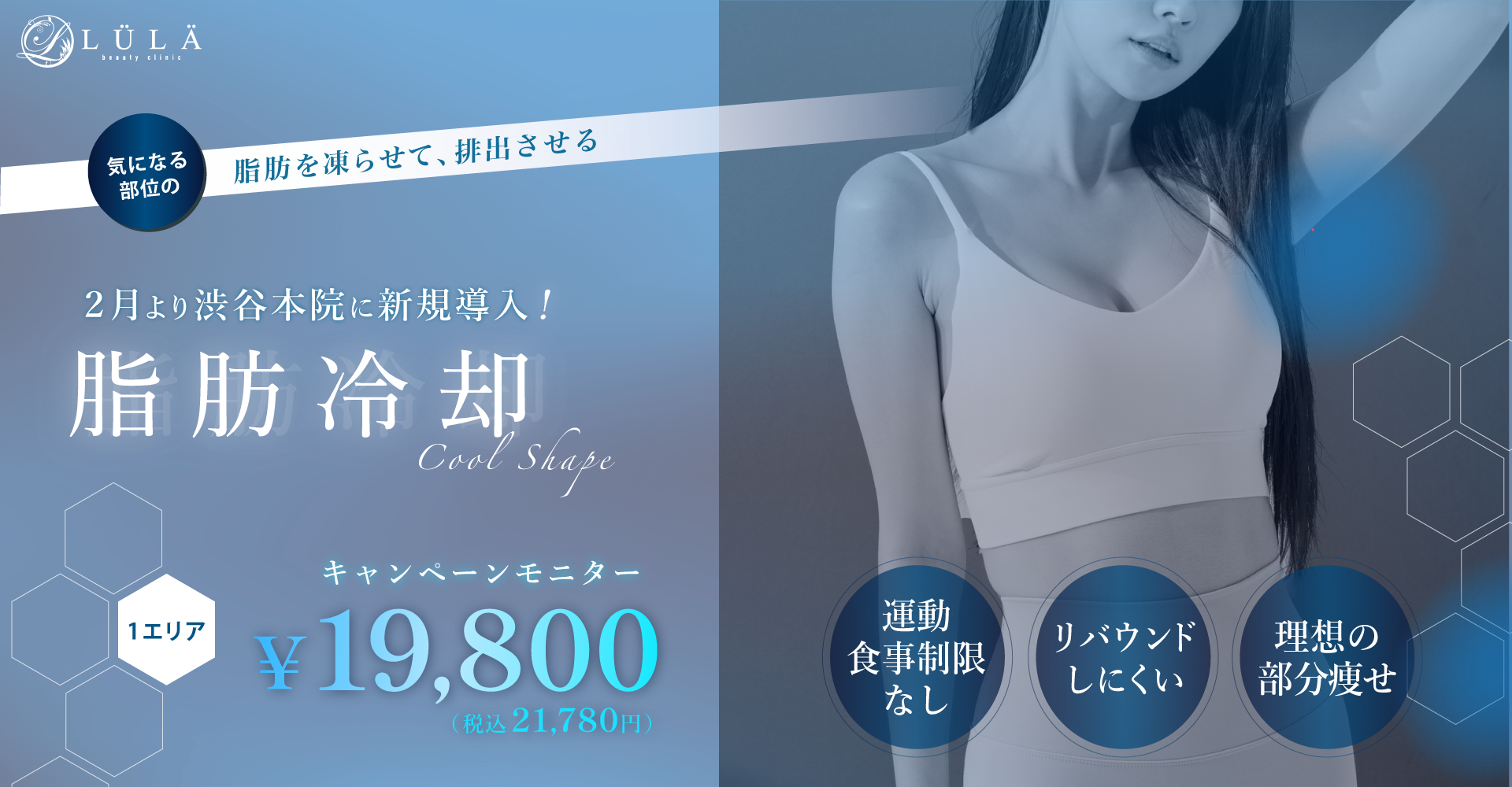 脂肪冷却 PC版
