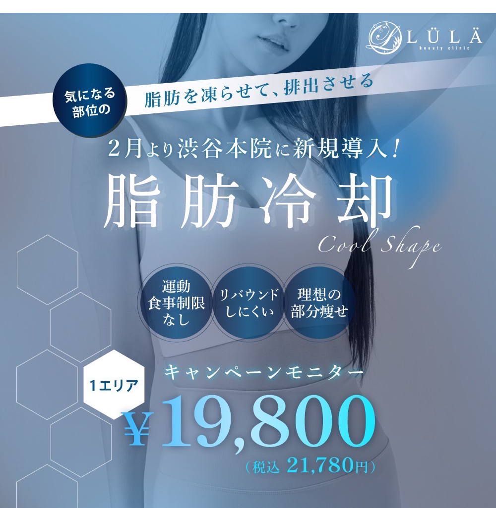 脂肪冷却 SP版