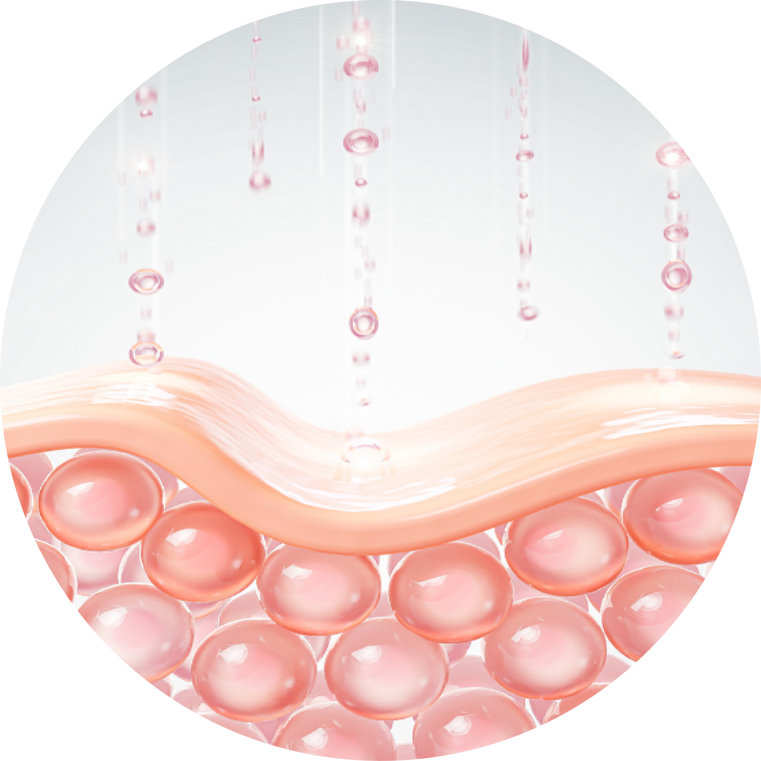 ポリヌクレオチド