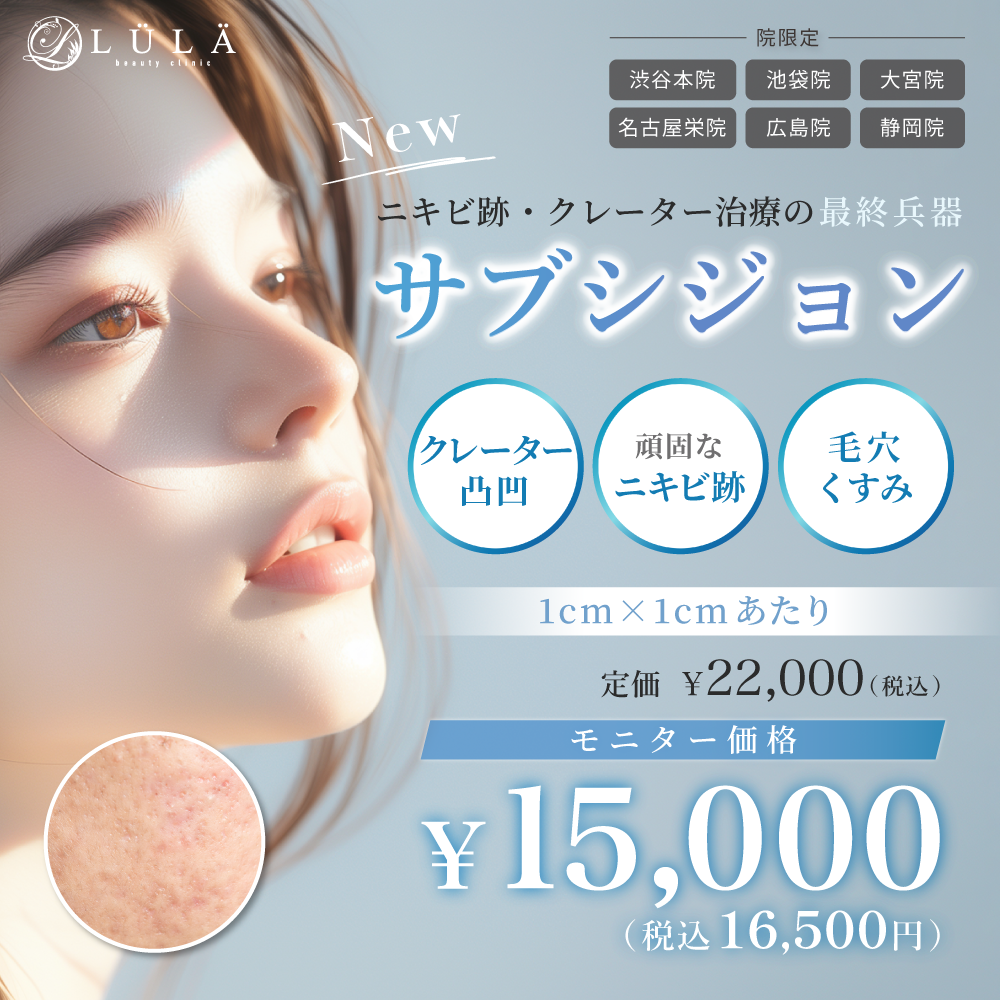 サブシジョンとは