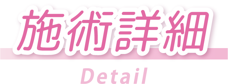 施術詳細